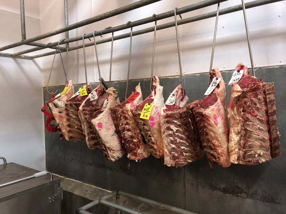 Prime Dry Aged Rib
